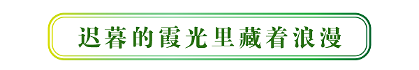 裁 - 標(biāo)題-02.png