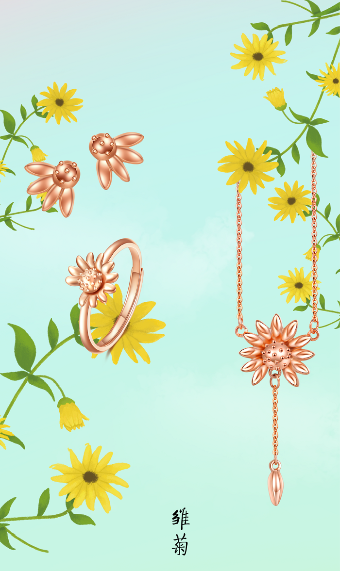 雛菊.png